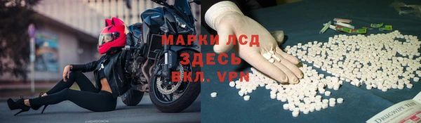 сатива Волосово