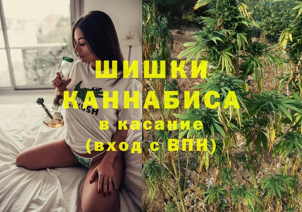 сатива Волосово